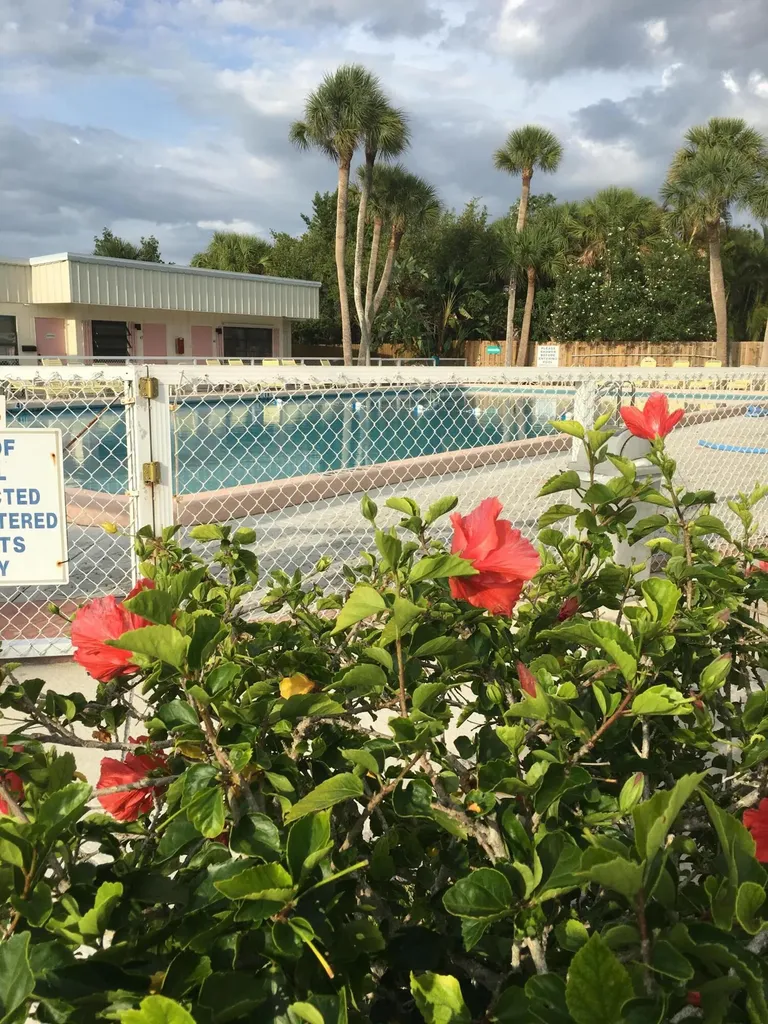 908 Villas Drive Venice FL 34285