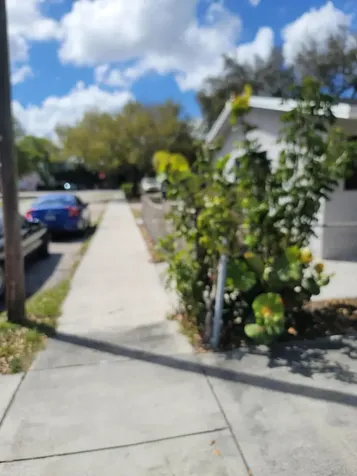 2241 Freedom Street Hollywood FL 33020
