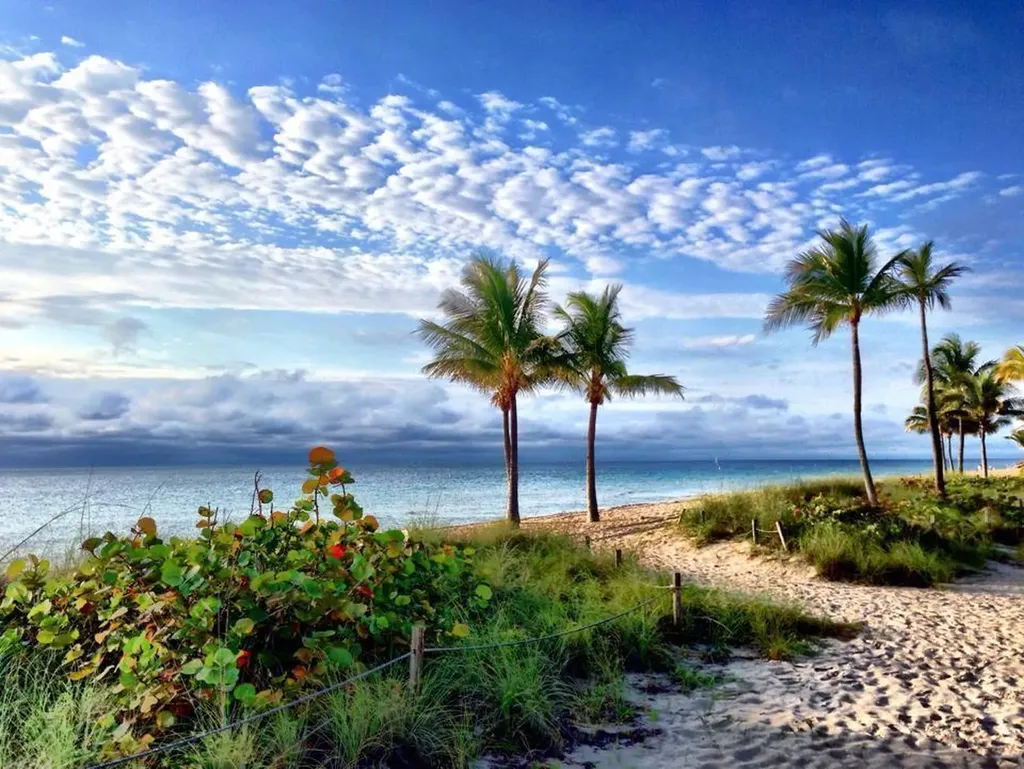 3212 NE 12th Street Pompano Beach FL 33062