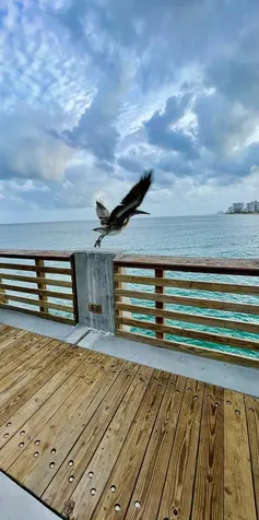 3212 NE 12th Street Pompano Beach FL 33062