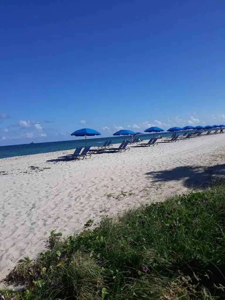 720 Bayshore Drive Fort Lauderdale FL 33304