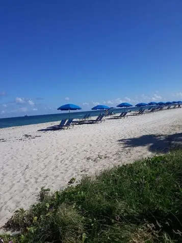 720 Bayshore Drive Fort Lauderdale FL 33304