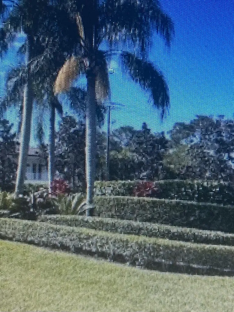 9120 SE Riverfront Terrace Jupiter FL 33469