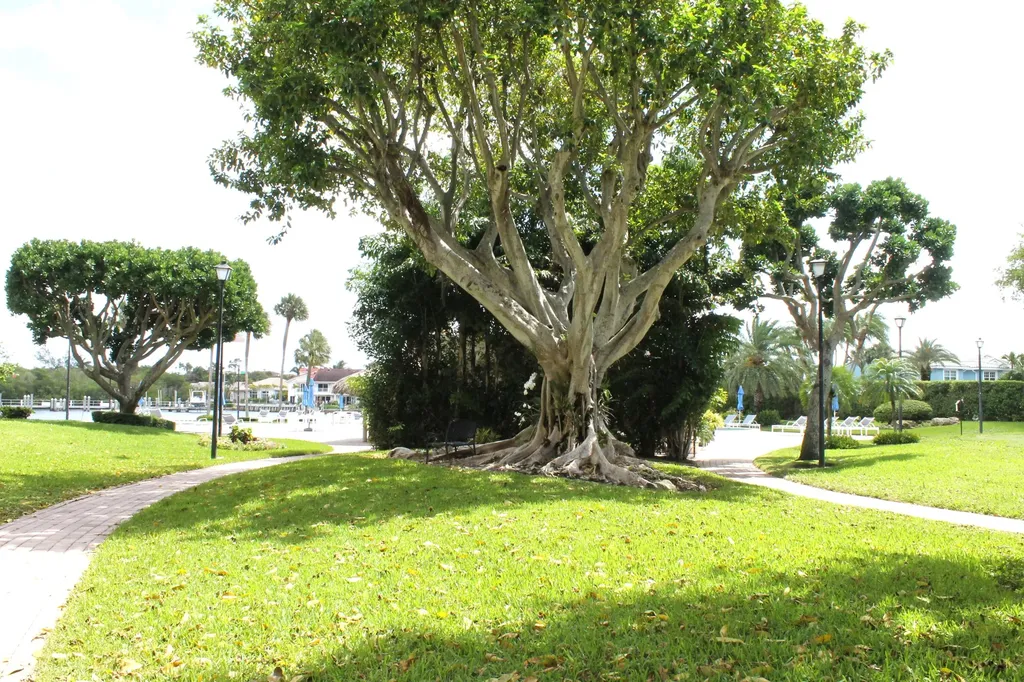 859 Jeffery Street Boca Raton FL 33487