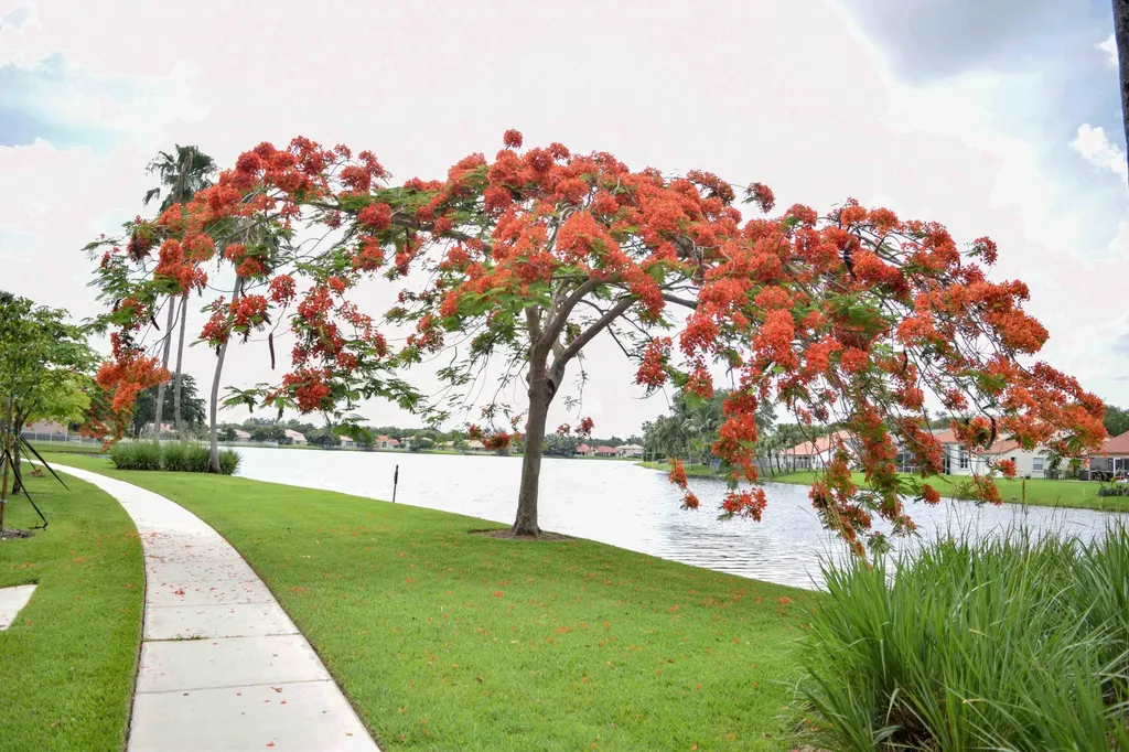11077 Longboat Drive Cooper City FL 33026