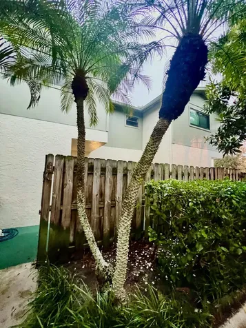 4320 Lilac Street Palm Beach Gardens FL 33410