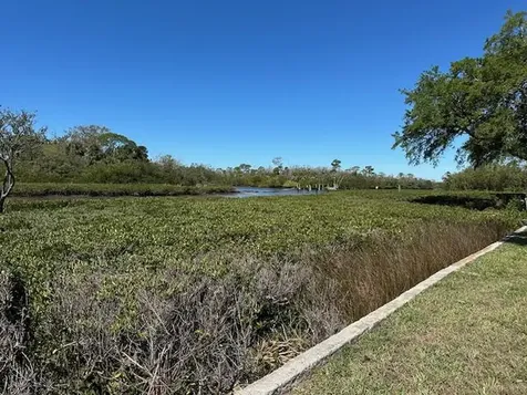 5637 Decatur Drive New Port Richey FL 34652