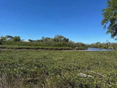 5637 Decatur Drive New Port Richey FL 34652