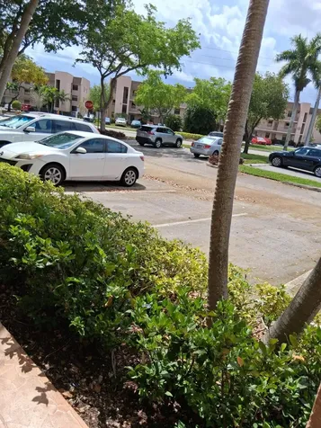 10303 Sunrise Lakes Boulevard Sunrise FL 33322