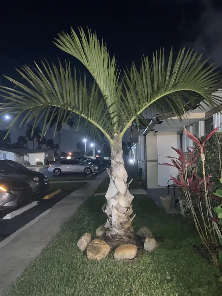 2847 Ashley Drive W West Palm Beach FL 33415