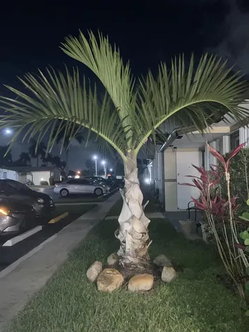2847 Ashley Drive W West Palm Beach FL 33415