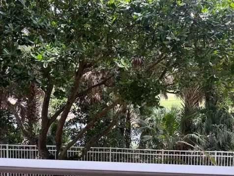 6410 Emerald Dunes Drive West Palm Beach FL 33411