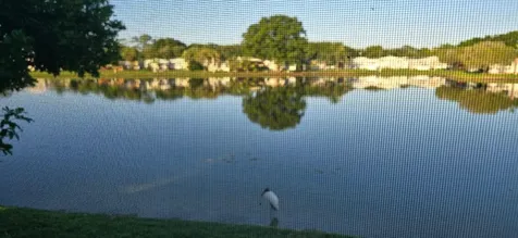162 Plantation Boulevard Greenacres FL 33467
