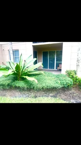 1690 Renaissance Commons Boulevard Boynton Beach FL 33426