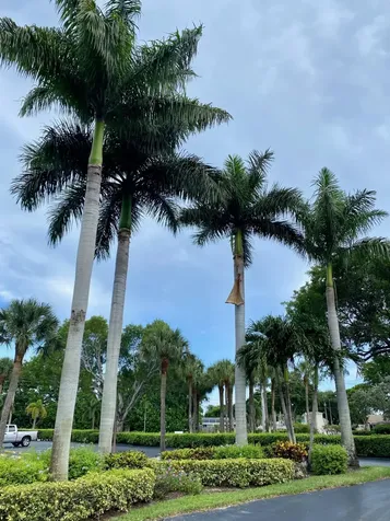 9170 SW 14th Street Boca Raton FL 33428