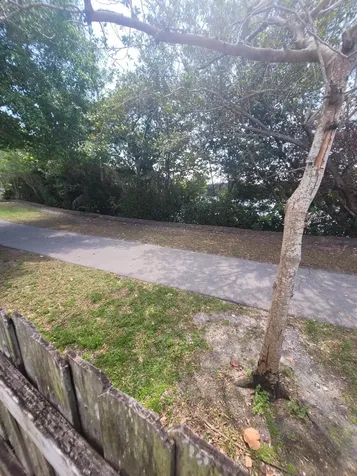 8448 NW 196th Terrace Hialeah FL 33015