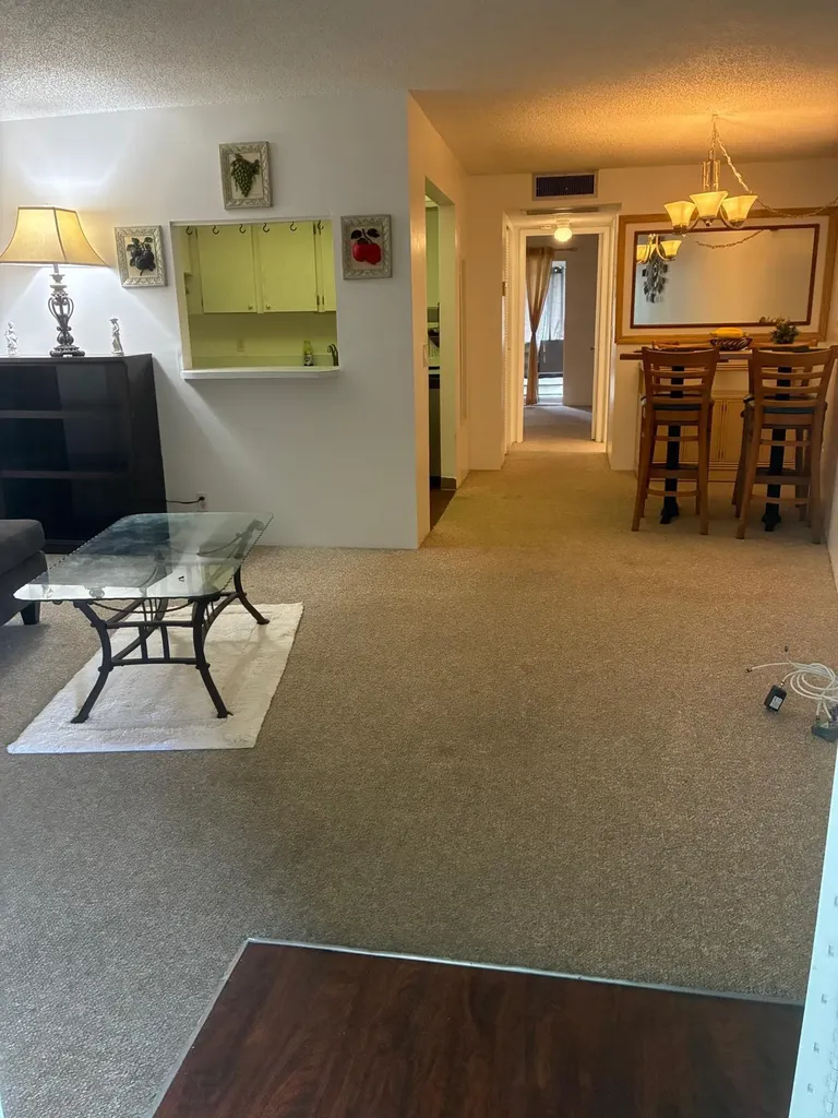700 Village Green Court Palm Springs FL 33461