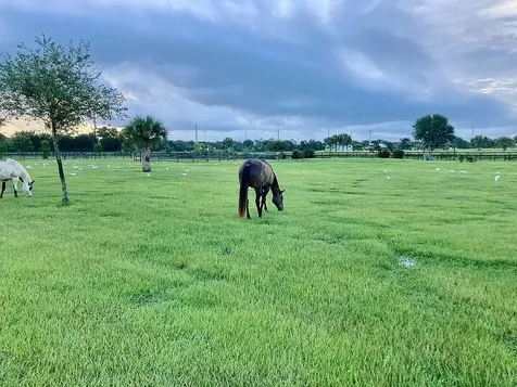7565 Polo Square Vero Beach FL 32968