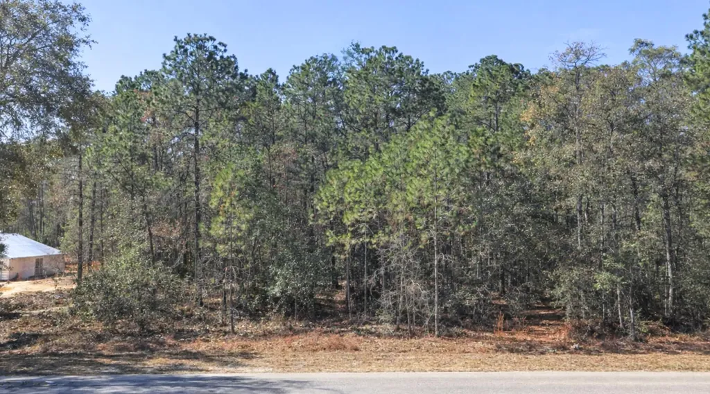 0000 SW Rainelle Road Dunnellon FL 34431