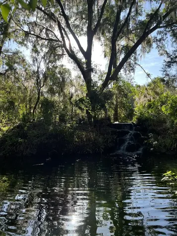 0000 SW Rainelle Road Dunnellon FL 34431