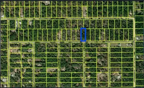 0000 SW Rainelle Road Dunnellon FL 34431