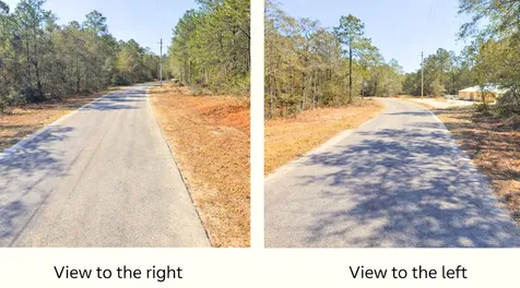 0000 SW Rainelle Road Dunnellon FL 34431