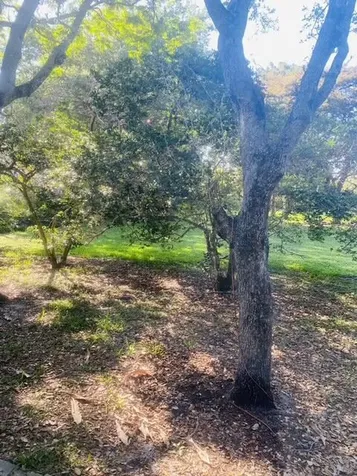 4296 Grove Park Lane Boynton Beach FL 33436