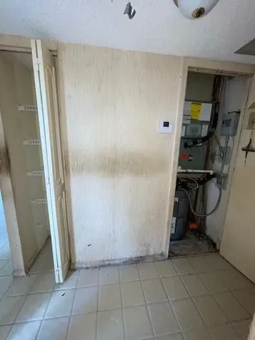 7091 Environ Boulevard Lauderhill FL 33319