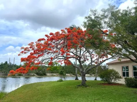 4552 N San Andros West Palm Beach FL 33411