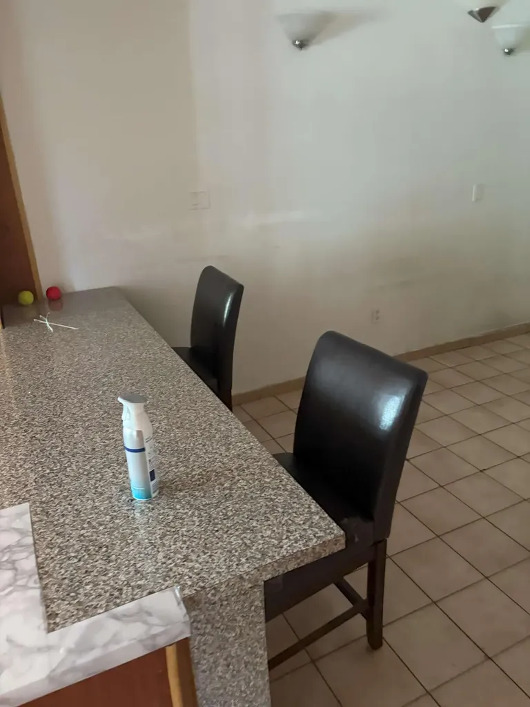 1538 NW 15th Avenue Miami FL 33125