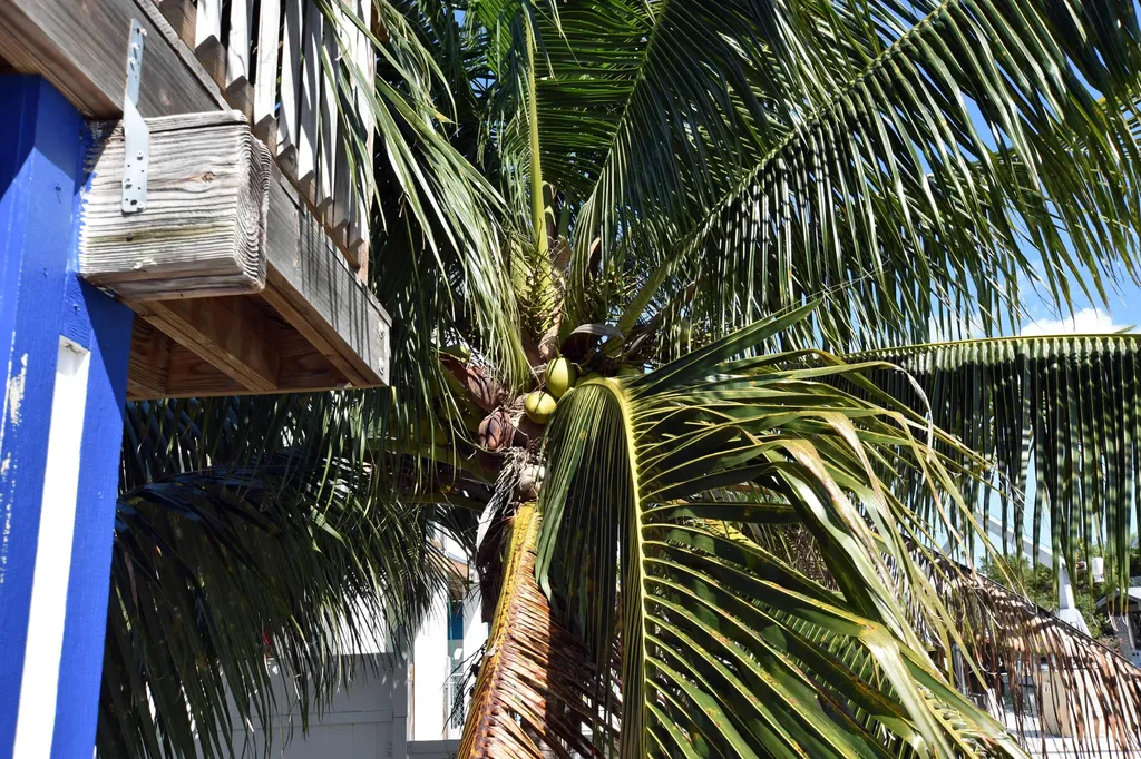 22920 Privateer Drive Cudjoe Key FL 33042