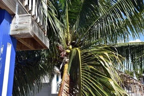 22920 Privateer Drive Cudjoe Key FL 33042