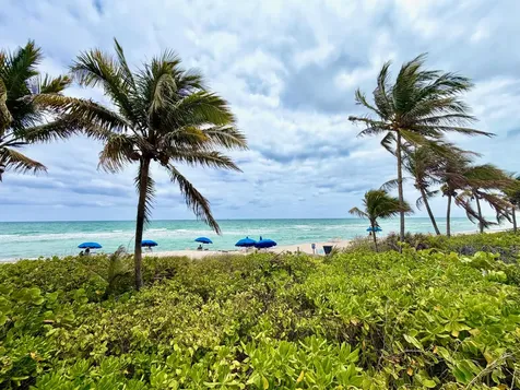 1985 S Ocean Drive Hallandale Beach FL 33009