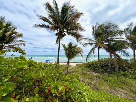 1985 S Ocean Drive Hallandale Beach FL 33009