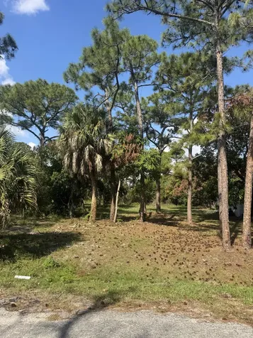 5866 SE Wesley Avenue Stuart FL 34997