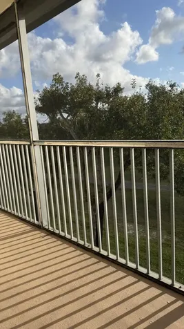 400 SW 134th Way Pembroke Pines FL 33027