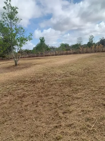 17231 NW 268th Street Okeechobee FL 34972