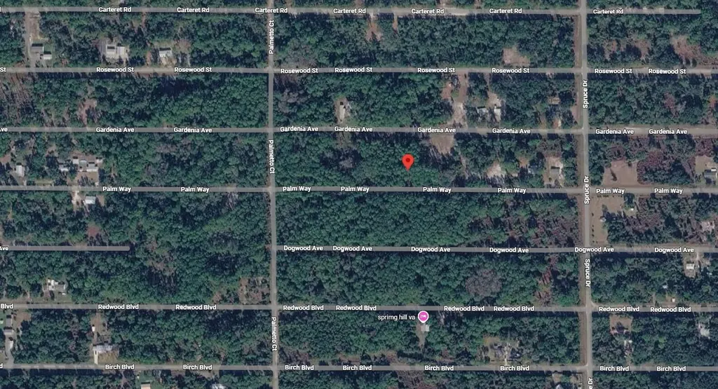418 Palm Way Georgetown FL 32139