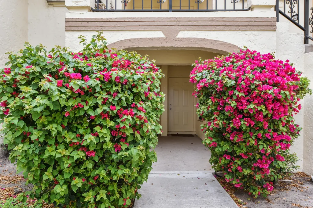 2600 Greenwood Terrace Boca Raton FL 33431