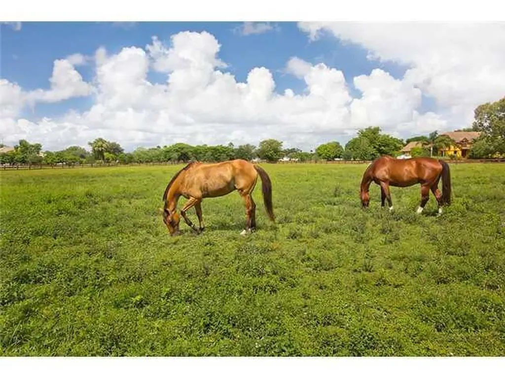 2088 Appaloosa Trail Wellington FL