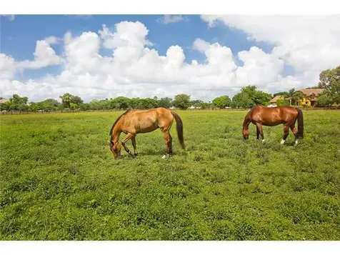 2088 Appaloosa Trail Wellington FL