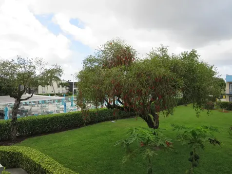 557 Burgundy L Delray Beach FL 33484
