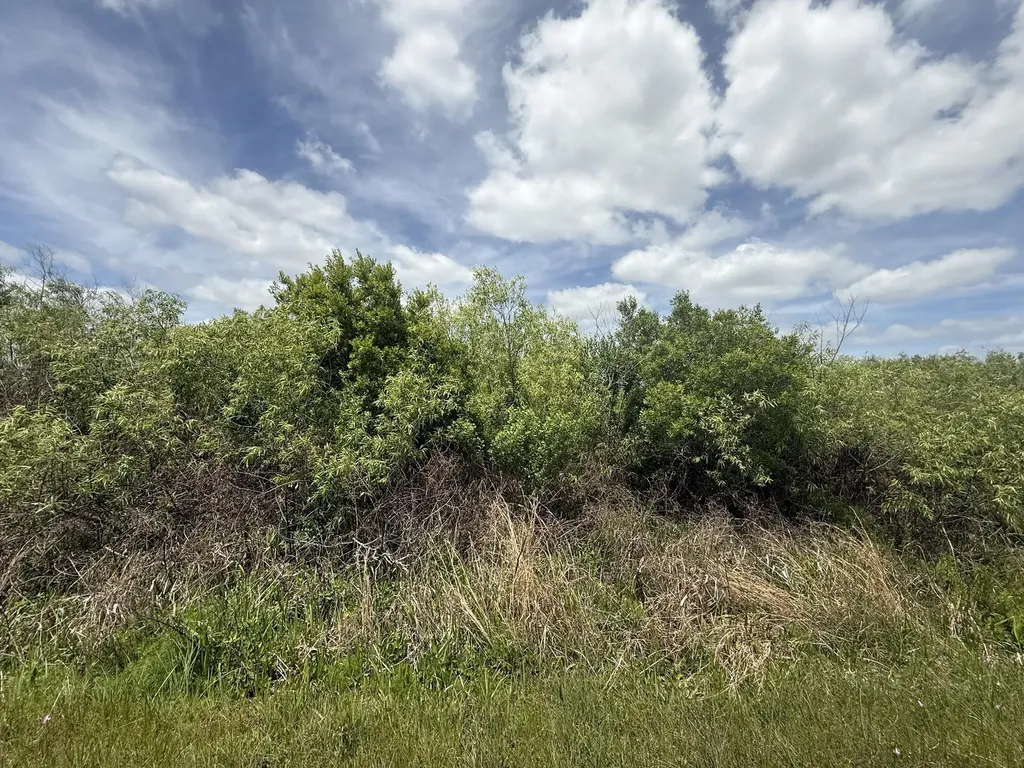 15837 NW 282nd Street Okeechobee FL 34972