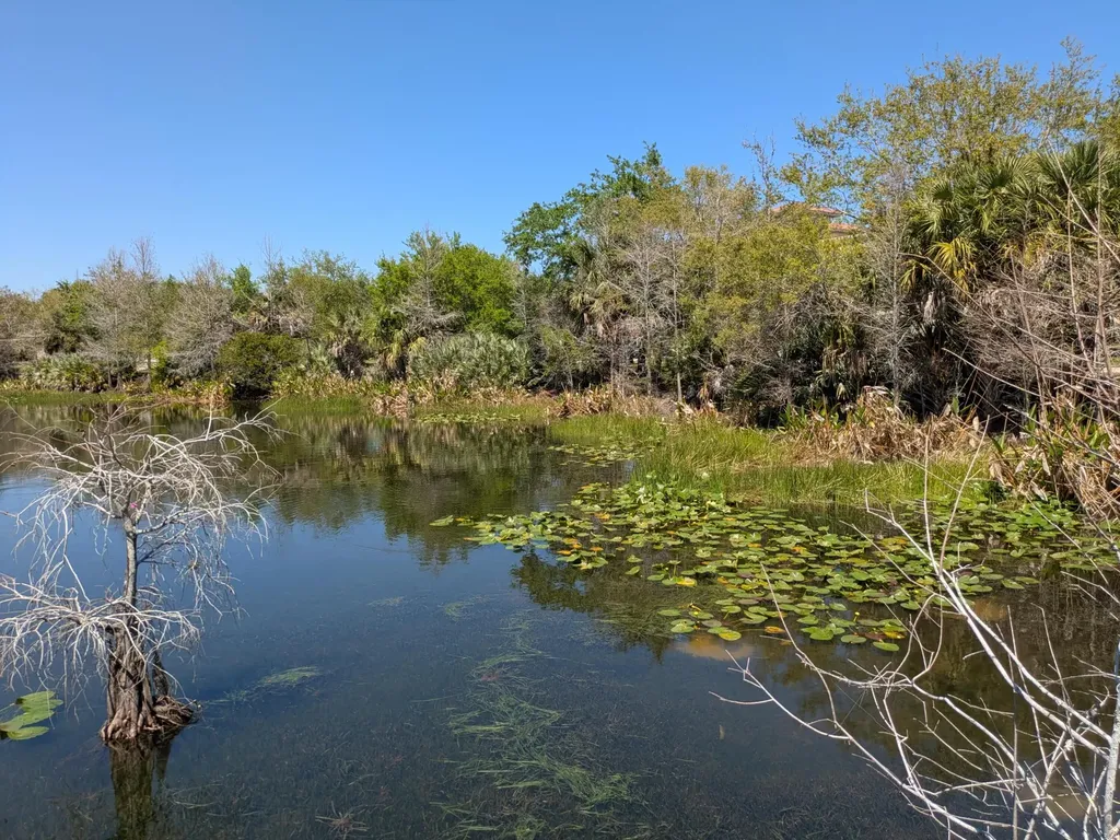 2157 SE Jamieson Drive Port St Lucie FL 34952