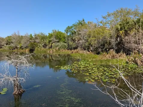 2157 SE Jamieson Drive Port St Lucie FL 34952