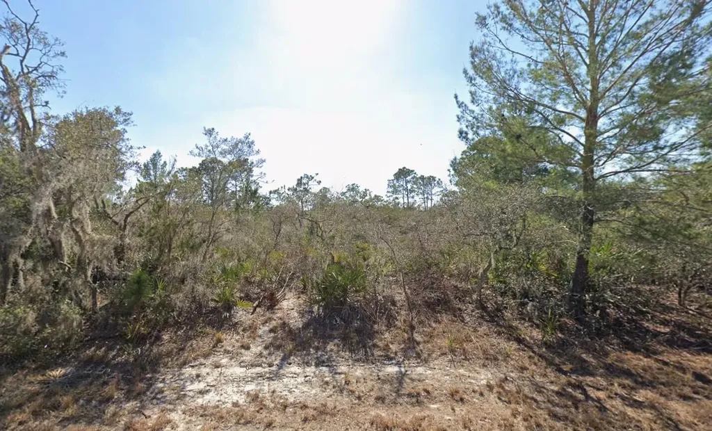 3235 N Dahlia Drive Lake Placid FL 33852