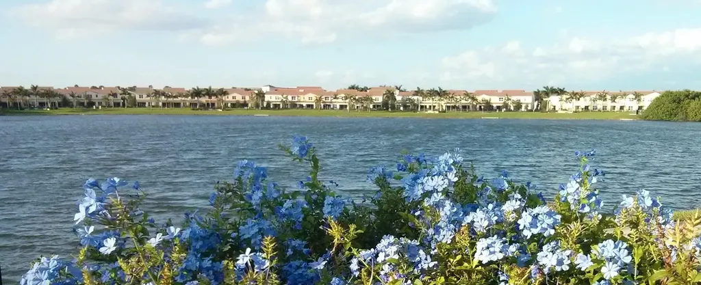 4858 NW 16th Terrace Boca Raton FL 33431