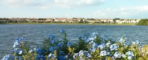 4820 NW 16th Terrace Boca Raton FL 33431