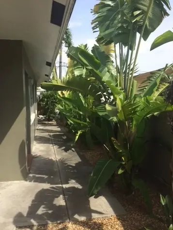 713 SE 18th Street Fort Lauderdale FL 33316