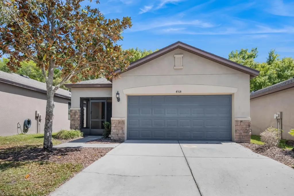 4514 Paper Mulberry Place Riverview FL 33578